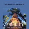 The Secret to Invindbifity by Paul Pearsall