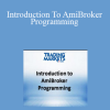 Connors Research - Introduction To AmiBroker Programming