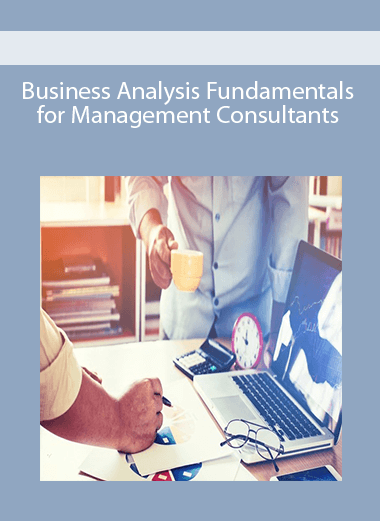 Business Analysis Fundamentals for Management Consultants