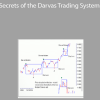 Darrin Donnelly - Secrets of the Darvas Trading System