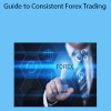 Derek Frey - Guide to Consistent Forex Trading