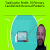 Luca Moschini – Trading for Profit: 10 Primary Candlestick Reversal Patterns