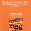 M.Rusydi - Quantitatice Exchange Rate Economics in Developing Countries