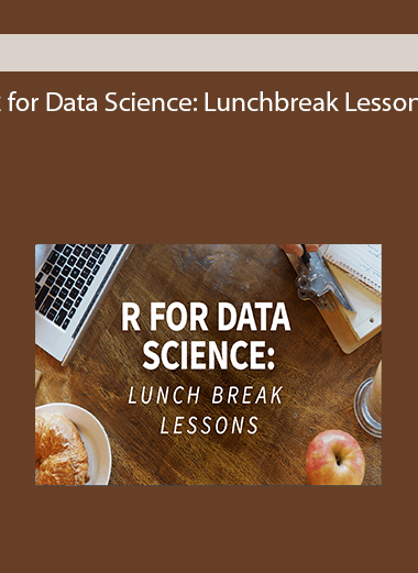 R for Data Science: Lunchbreak Lessons