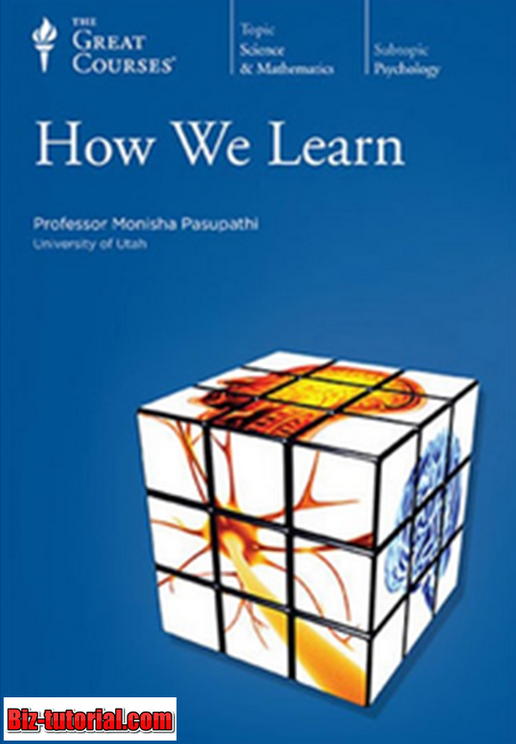 Professor Monisha Pasupathi, Ph.D. – TTC Video – How We Learn (2017)