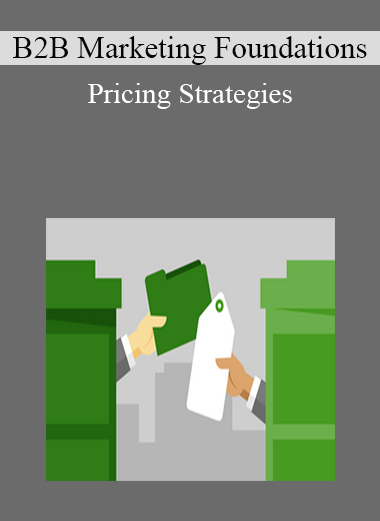 B2B Marketing Foundations - Pricing Strategies