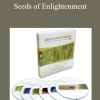 Jeddah Mali - Seeds of Enlightenment