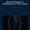 Joe Dispenza - Rewired Episode 1: Introduction to Your Brain