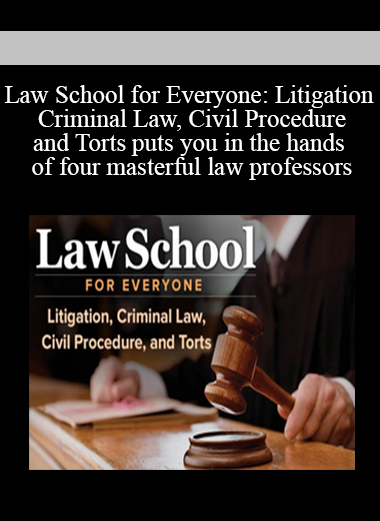 Law School for Everyone: Litigation, Criminal Law, Civil Procedure, and Torts puts you in the hands of four masterful law professors