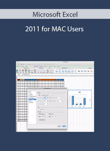 Microsoft Excel 2011 for MAC Users