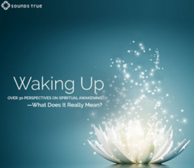 Sounds True – Waking Up – 30 interviews with contemporary teachers