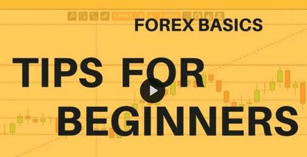 Hana Stejskalová – Forex Basics: Trading Tips that Worth Your Time
