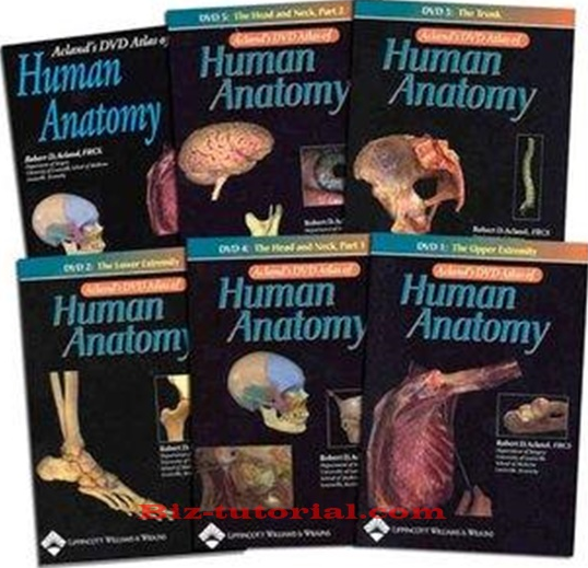 Dr. Robert D. Acland PhD – Acland’s DVD Atlas of Human Anatomy