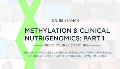 SHEI: Methylation & Clinical Nutrigenomics Pt. 1 (1/2)