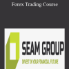 Seam Group - Forex Trading Course