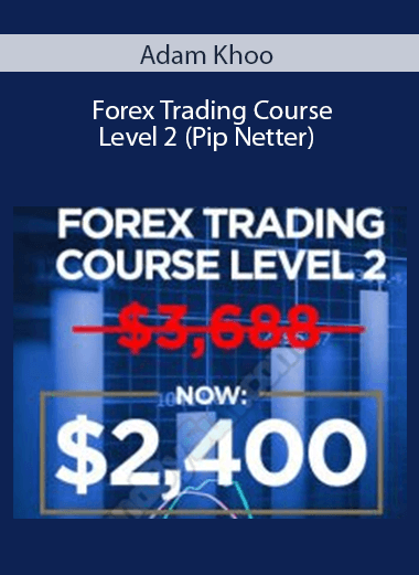 Adam Khoo - Forex Trading Course Level 2 (Pip Netter)