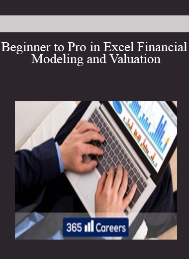 Beginner to Pro in Excel Financial Modeling and Valuation