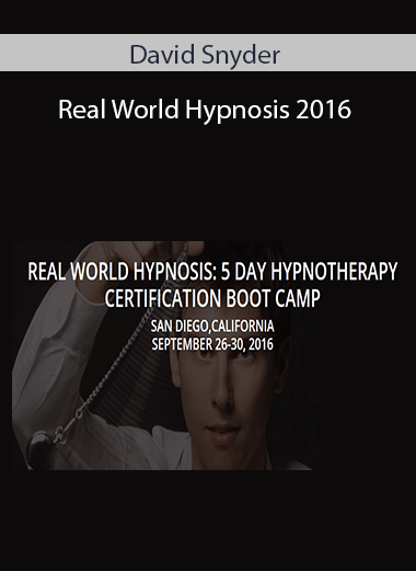 David Snyder - Real World Hypnosis 2016