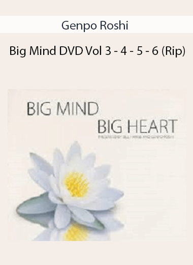 Genpo Roshi - Big Mind DVD Vol 3 - 4 - 5 - 6 (Rip)
