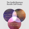 Hiro Boga - The Soulful Business Bundle (Self-Study)