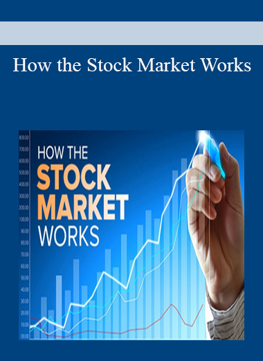 How the Stock Market Works