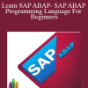 Learn SAP ABAP- SAP ABAP Programming Language For Beginners