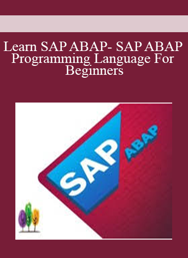 Learn SAP ABAP- SAP ABAP Programming Language For Beginners