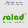 Salad Seminar - Ericksonian Hypnosis - The Secrets of Hypnosis
