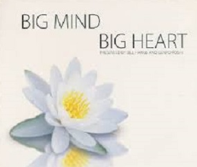  Genpo Roshi - Big Mind DVD Vol 3 - 4 - 5 - 6 (Rip) 