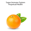 Talmadge Harper - Super Immune System - Perpetual Health