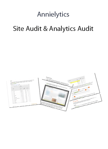 Annielytics - Site Audit & Analytics Audit