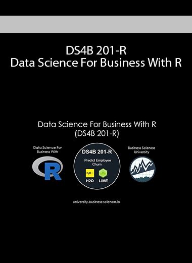 DS4B 201-R - Data Science For Business With R