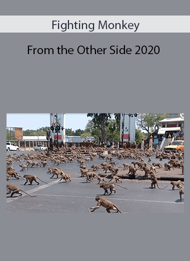 Fighting Monkey - From the Other Side 2020