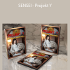 SENSEI - Projekt Y