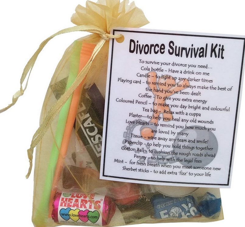  The Divorce Survival Kit 