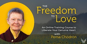  Pema Chödrön - The Freedom To Love 