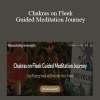 Abiola - Chakras on Fleek Guided Meditation Journey