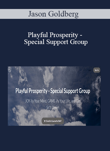 Jason Goldberg - Playful Prosperity - Special Support Group