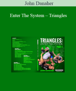John Danaher – Enter The System – Triangles