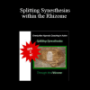John Overdurf – Splitting Synesthesias within the Rhizome