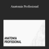 Passaportefreela - Anatomia Profissional