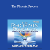 Gerald Epstein – The Phoenix Process