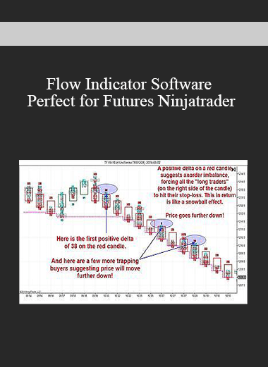 Flow Indicator Software Perfect for Futures Ninjatrader