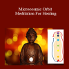 Sandeep Nath - Microcosmic Orbit Meditation For Healing