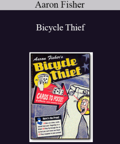 Aaron Fisher - Bicycle Thief