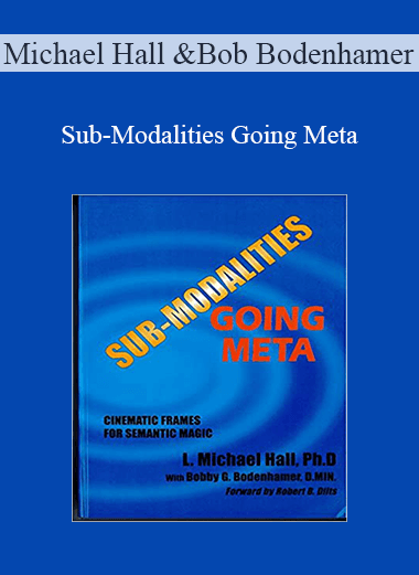 Michael Hall & Bob Bodenhamer - Sub-Modalities Going Meta