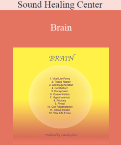 Sound Healing Center - Brain