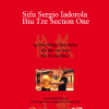 Wing Tjun - Sifu Sergio Iadorola - Biu Tze Section One