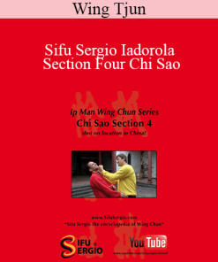 Wing Tjun - Sifu Sergio Iadorola - Section Four Chi Sao