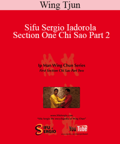 Wing Tjun - Sifu Sergio Iadorola - Section One Chi Sao Part 2